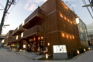 柳小路