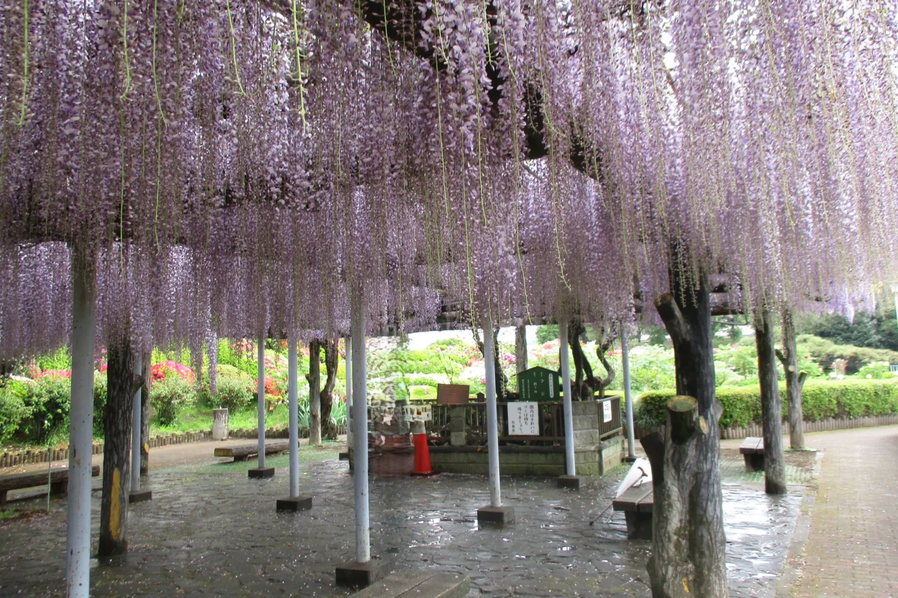 箭弓稲荷神社_8