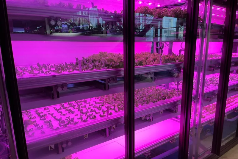 ▲水耕栽培室「Farm Labo」