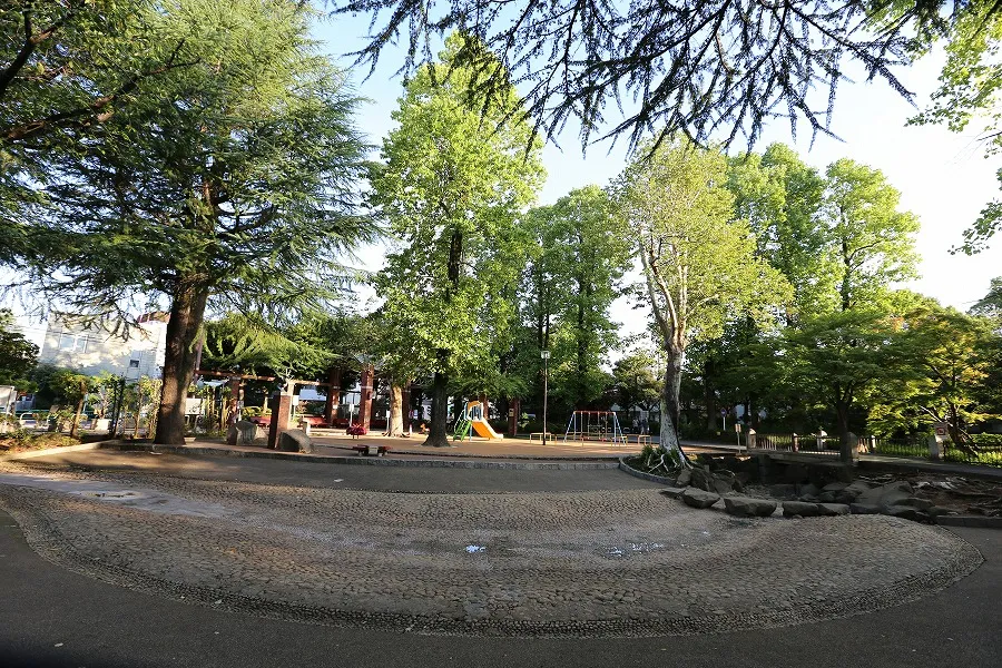 杉並区立馬橋公園_2