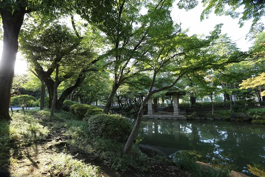 杉並区立馬橋公園_3