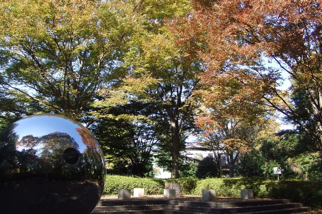 芹ヶ谷公園_3