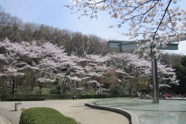 芹ヶ谷公園_6