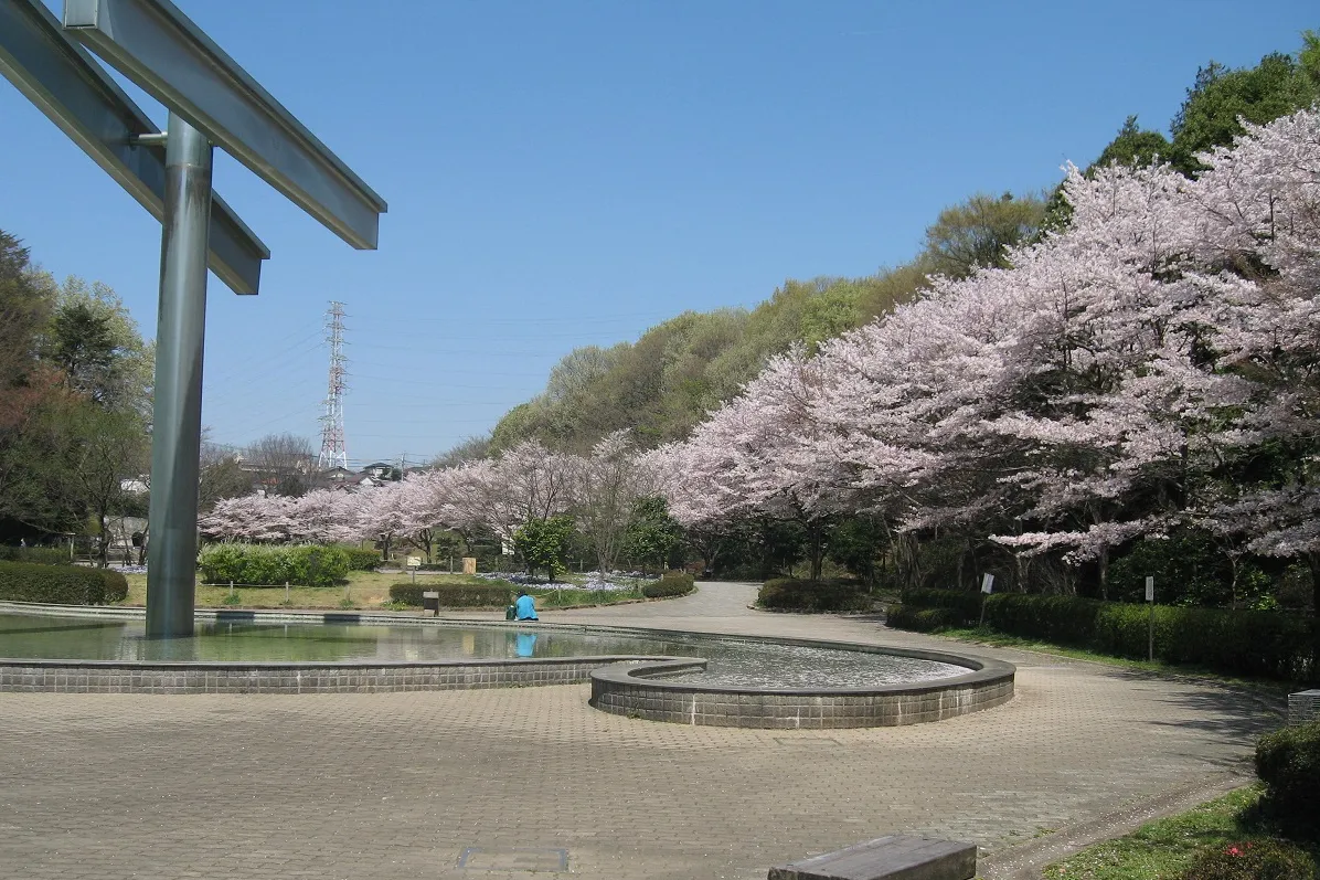 芹ヶ谷公園_8