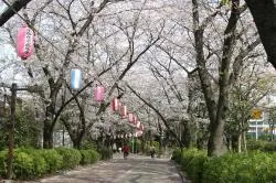 南砂緑道公園
