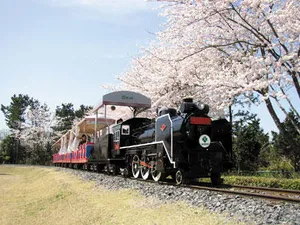 千葉こどもの国 キッズダム
