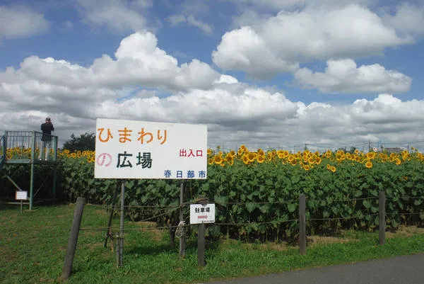 牛島古川公園（第2期）_3