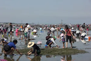 富津海岸潮干狩場