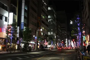 新宿仲通り商店会