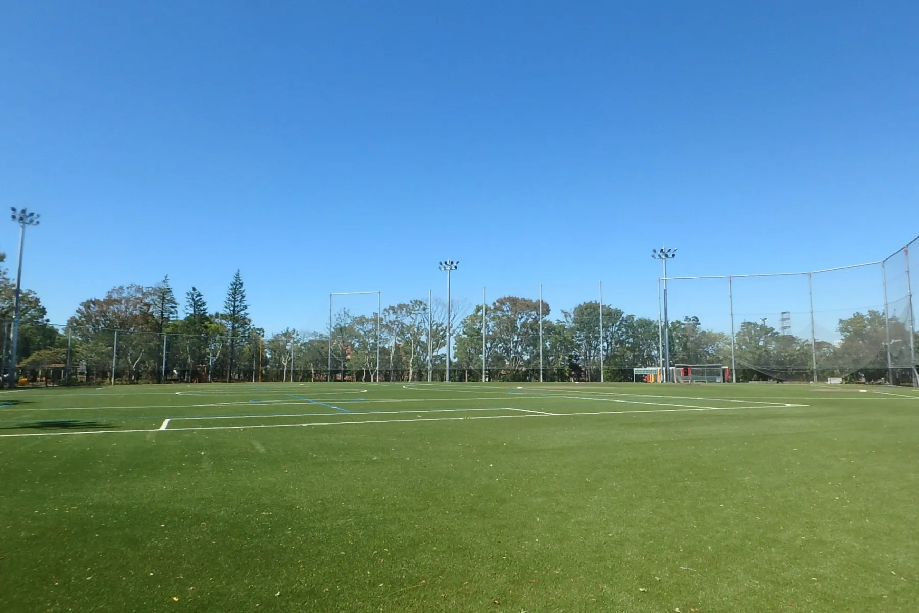 平和の森公園 草地広場_10