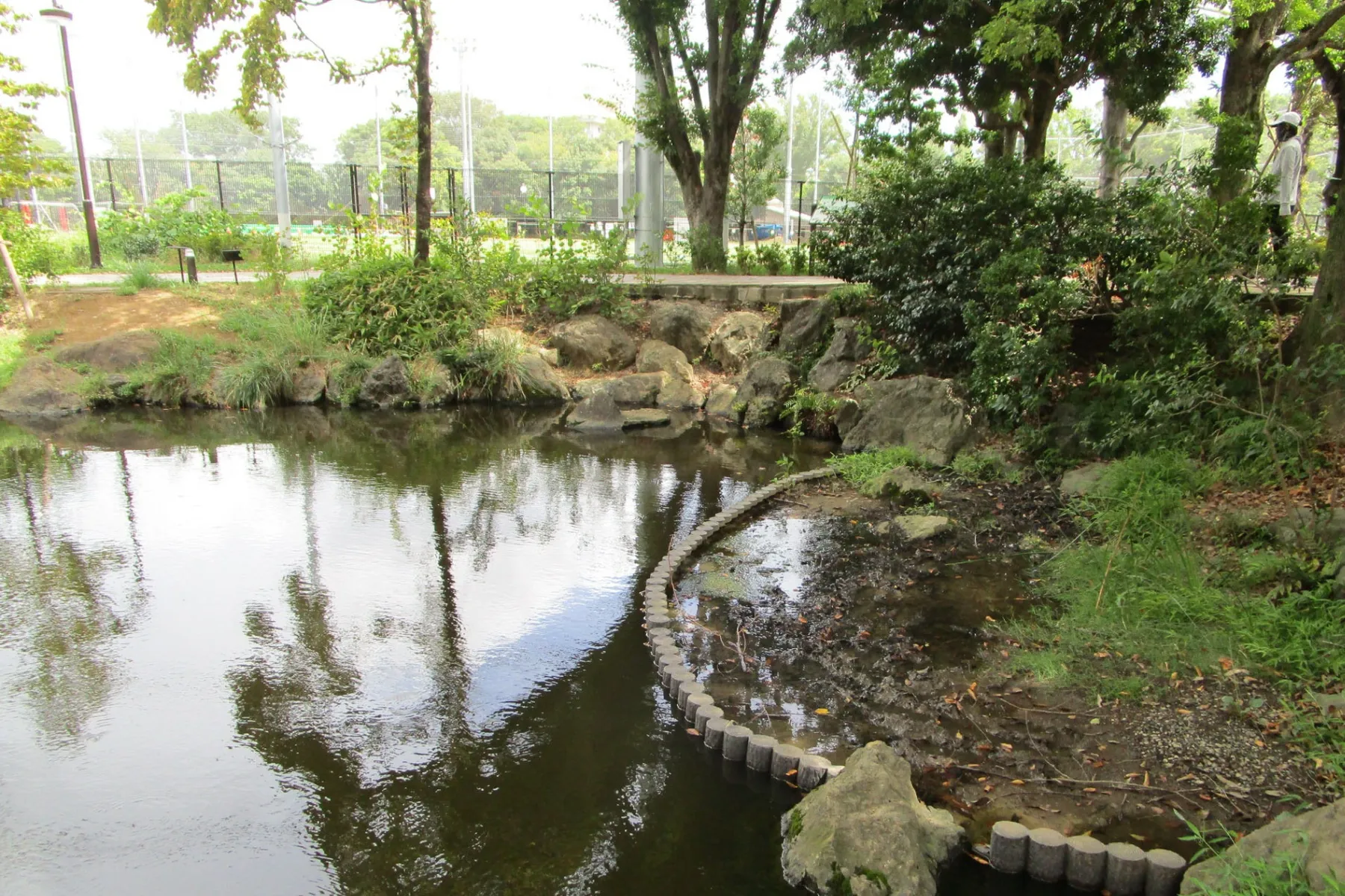 平和の森公園 草地広場_13