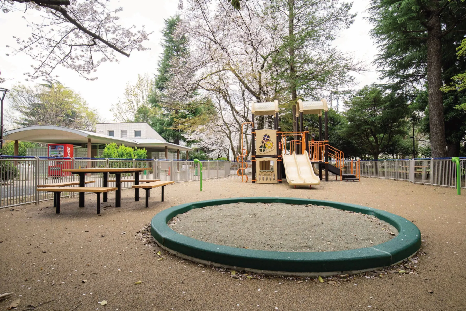 平和の森公園 草地広場_14