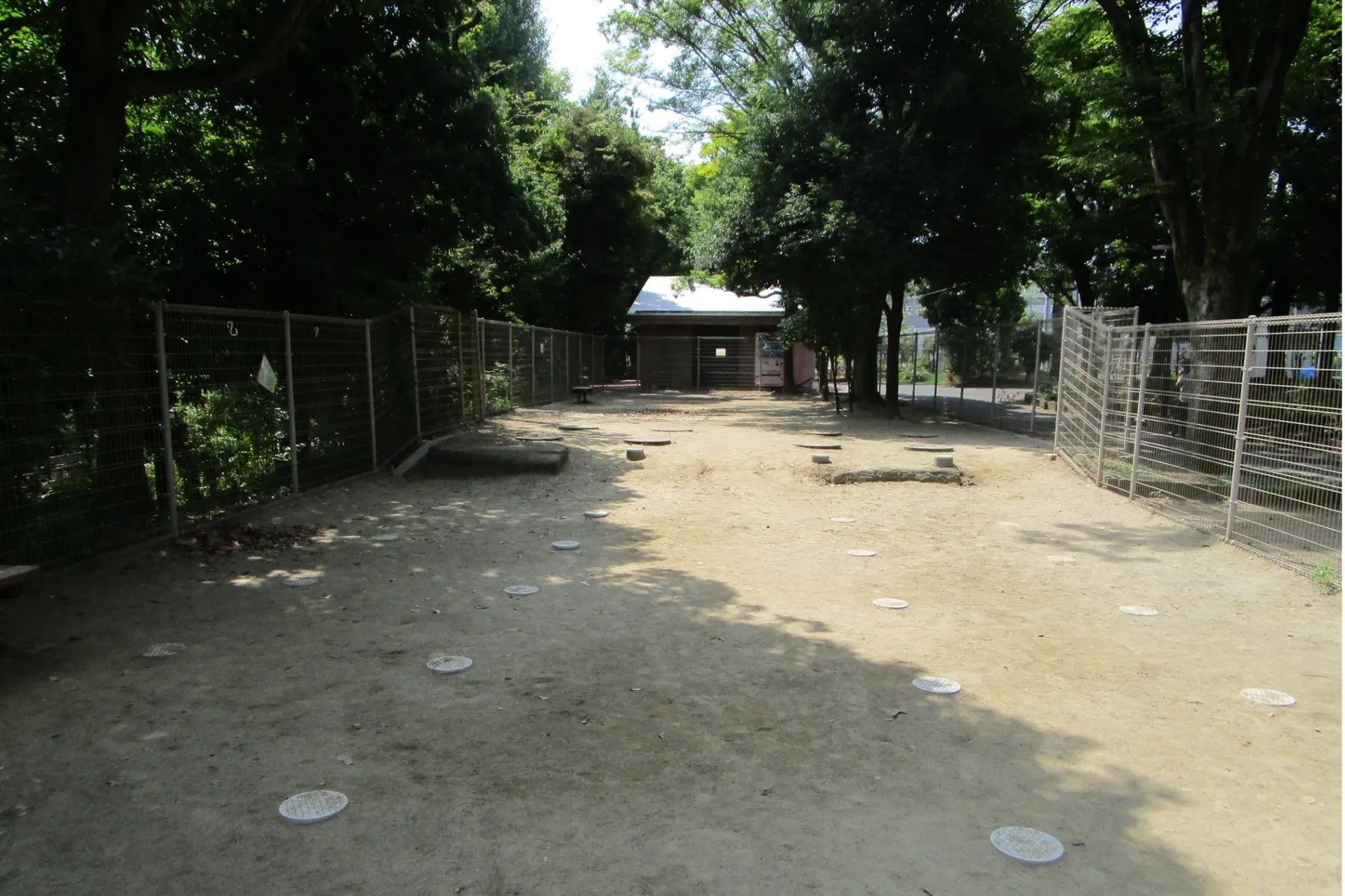 平和の森公園 草地広場_17