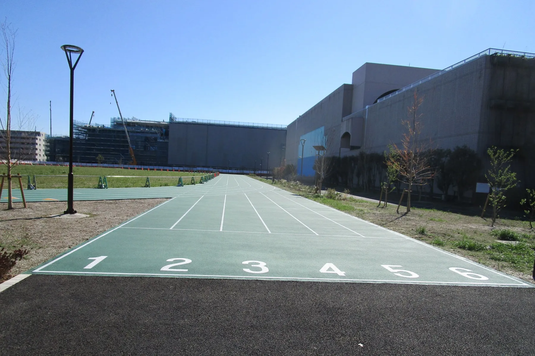 平和の森公園 草地広場_5