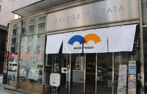 ブリッジにいがた