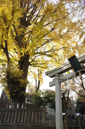 板橋イナリ通り商店街