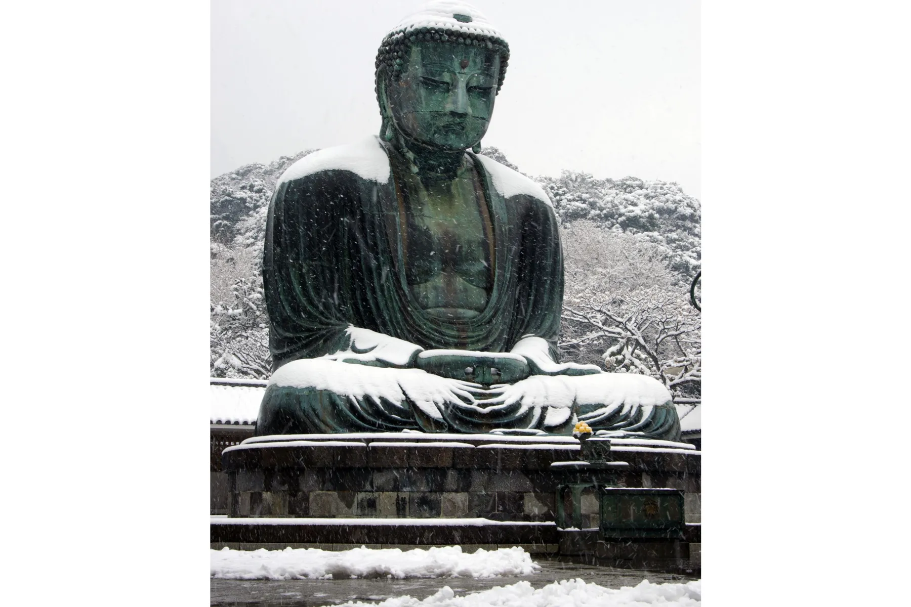 ▲鎌倉大仏殿高徳院（写真提供：鎌倉市観光協会）