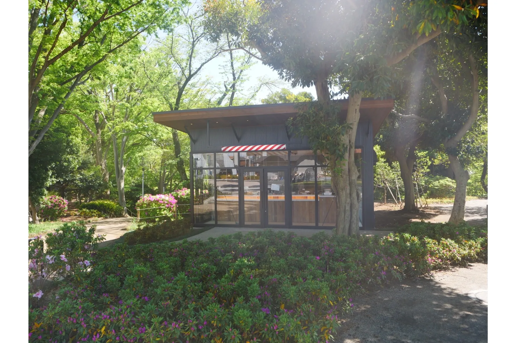 パンとエスプレッソと千葉公園_8