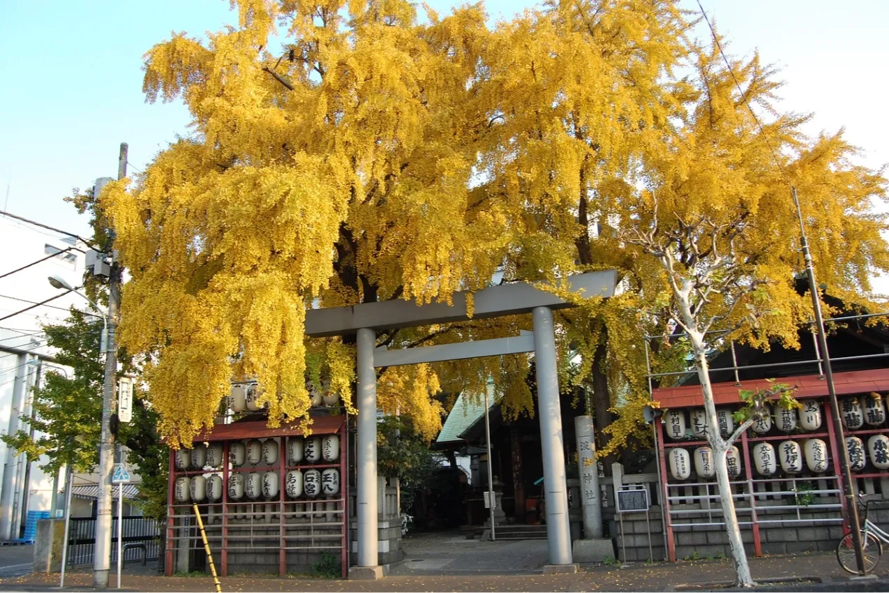 波除稲荷神社_5