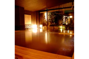 大谷田温泉 明神の湯