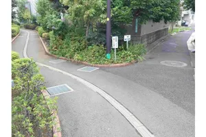 北沢川緑道と松沢支流