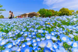 舎人公園