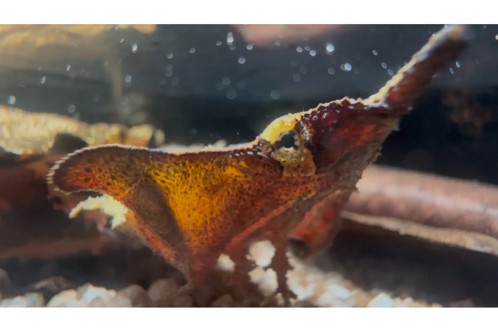 アクアパーク川越_5