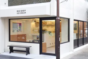 BIG BABY ICE CREAM