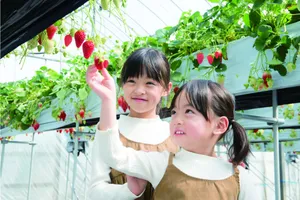 平松観光アグリス浜名湖