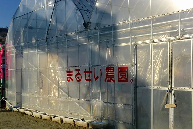 まるせい農園_1