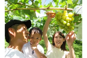 ナイトウ果樹園