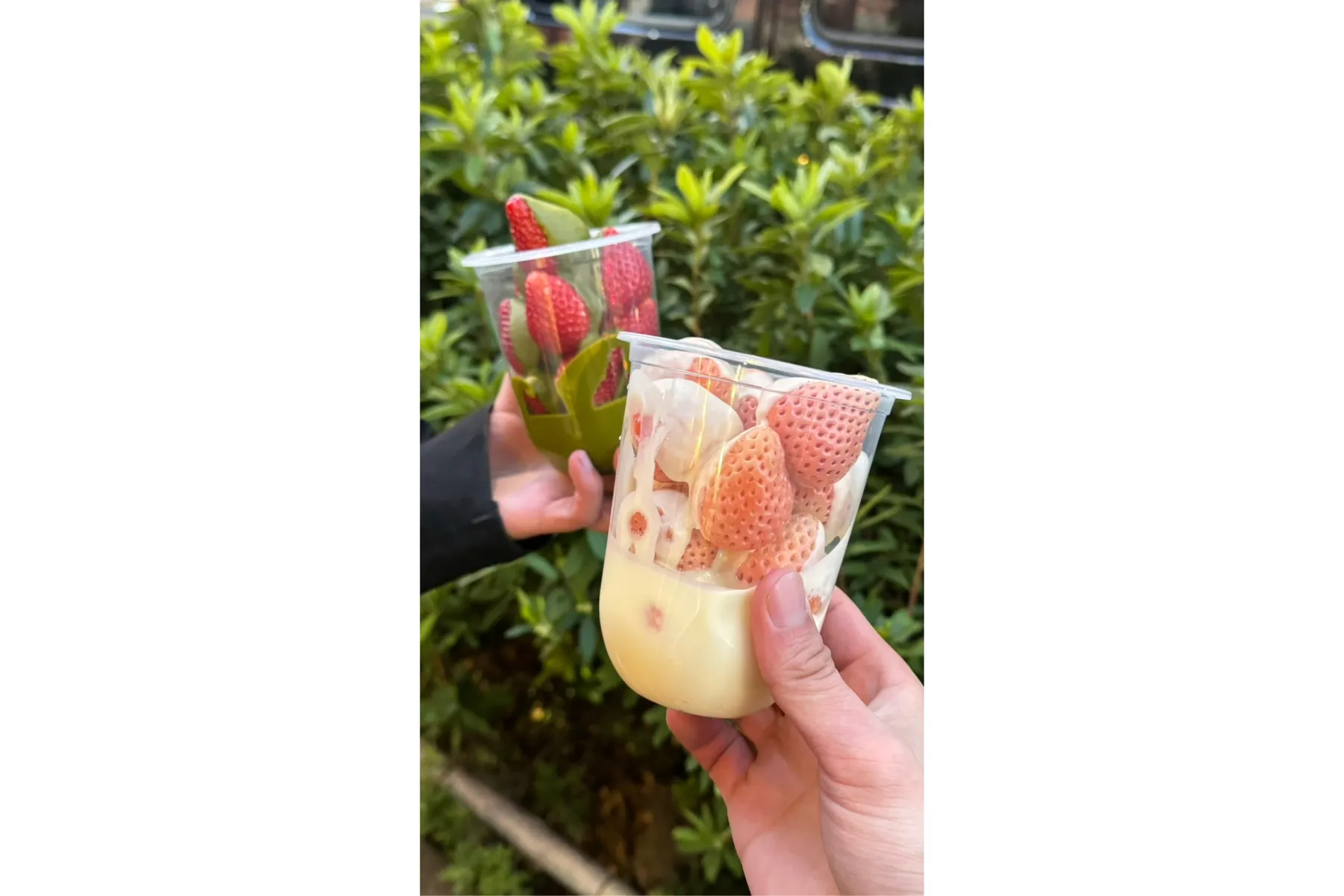 Strawberry choco原宿店_2