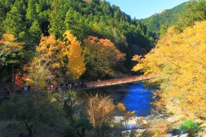 秋川渓谷
