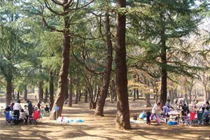 野川公園　＜バーベキュー場＞
