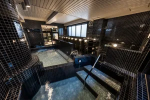 新宿落合温泉 松の湯