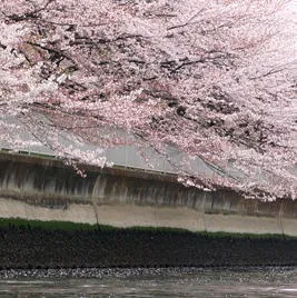 石島橋