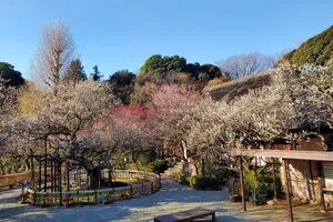 京王百草園