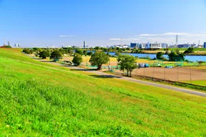 荒川戸田橋上流　戸田市側河川敷