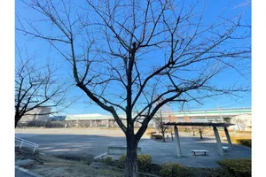 滝沼川第二遊水地