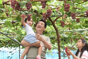 フルタイムファームさいたま見沼