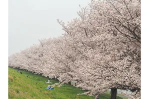 戸田公園（戸田桜づつみ）