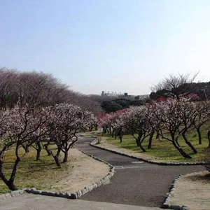 根岸森林公園