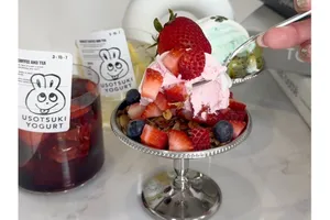 ウソツキヨーグルト