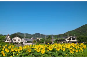神奈川県立 秦野戸川公園