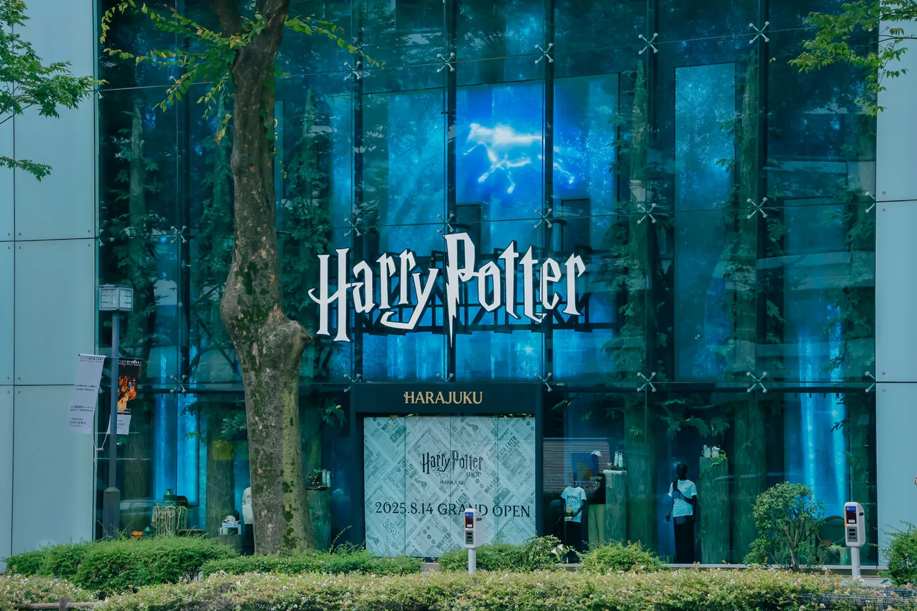 ハリー・ポッター ショップ 原宿_8