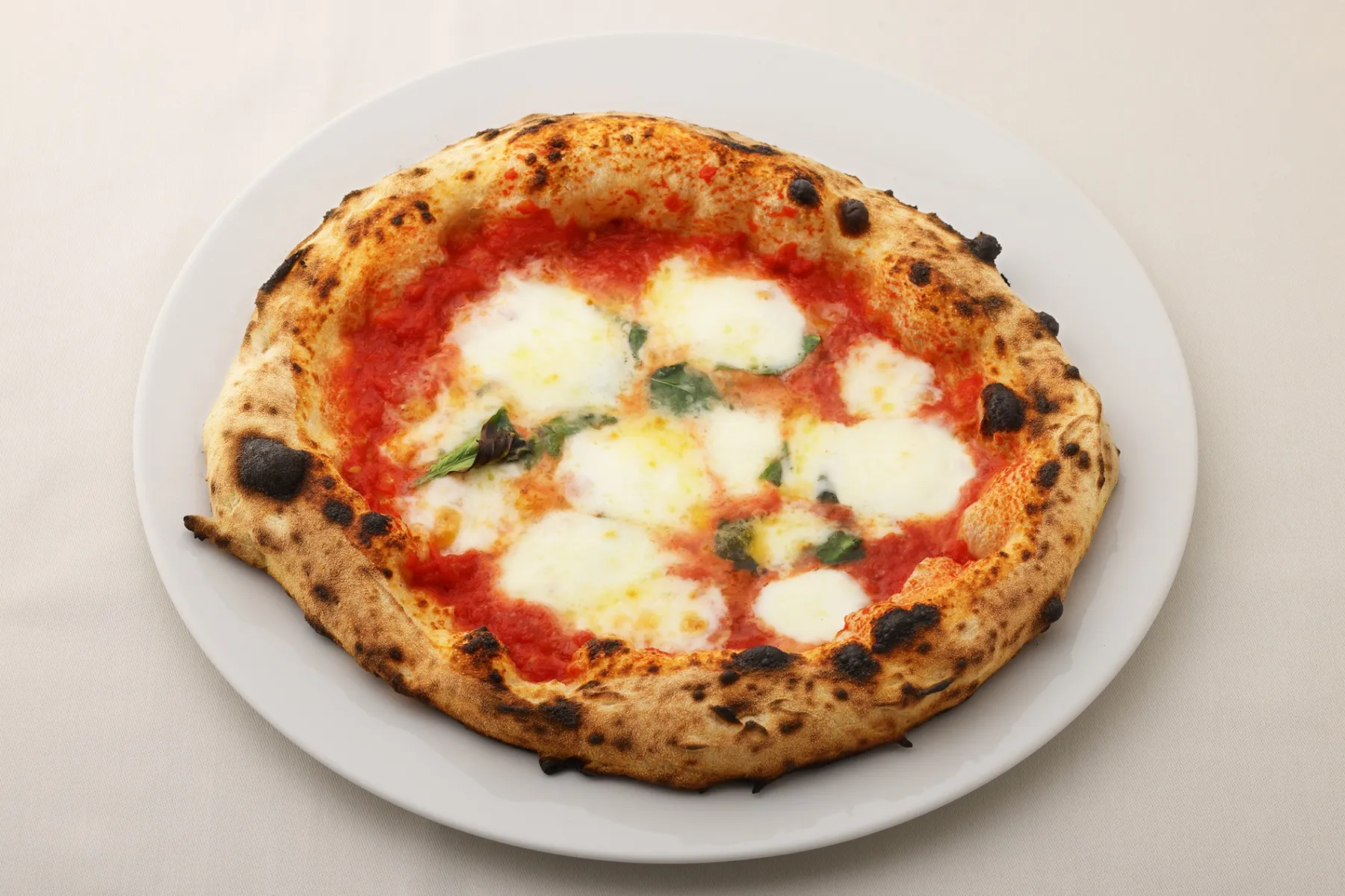 TRATTORIA PIZZERIA 207_4