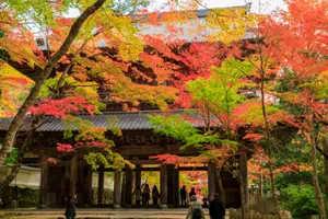 永源寺(もみじ寺)