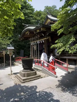鎮守氷川神社