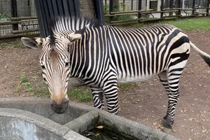 夢見ヶ崎動物公園