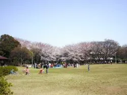 行田公園